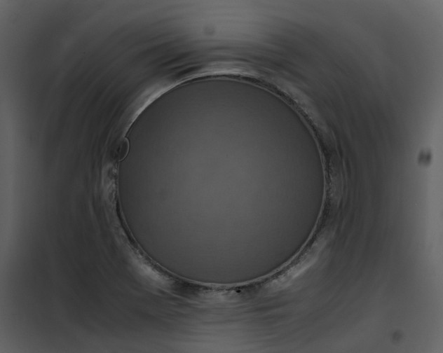 X0000101191369200807181501
