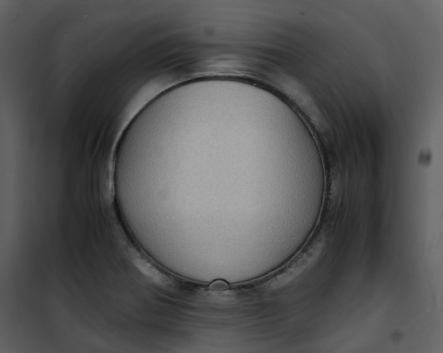 X0000101191370200807181501