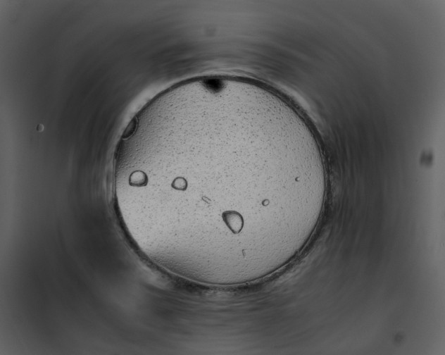 X0000101191371200807181501