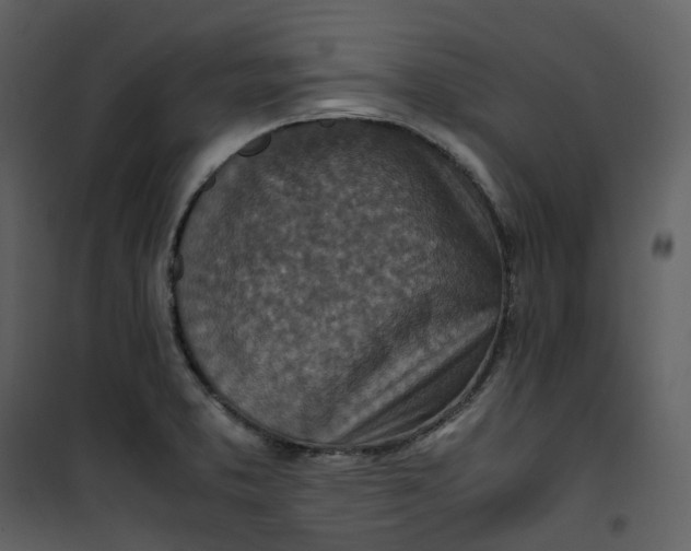 X0000101191373200807181501