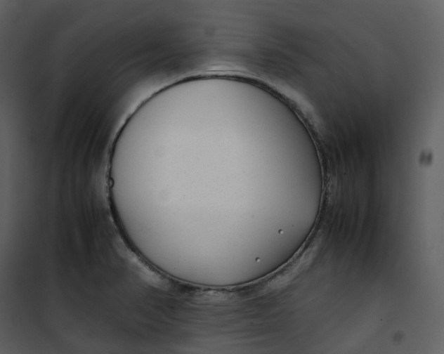 X0000101191374200807181501