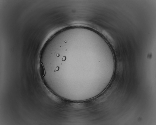 X0000101191376200807181501