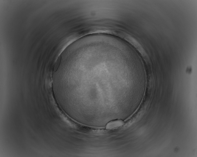 X0000101191377200807181501