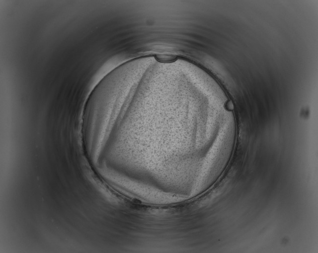 X0000101191378200807181501