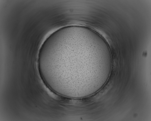 X0000101191379200807181501