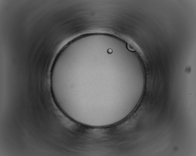 X0000101191380200807181501