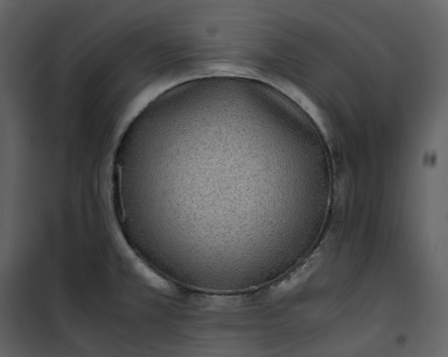 X0000101191381200807181501