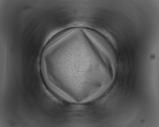 X0000101191382200807181501