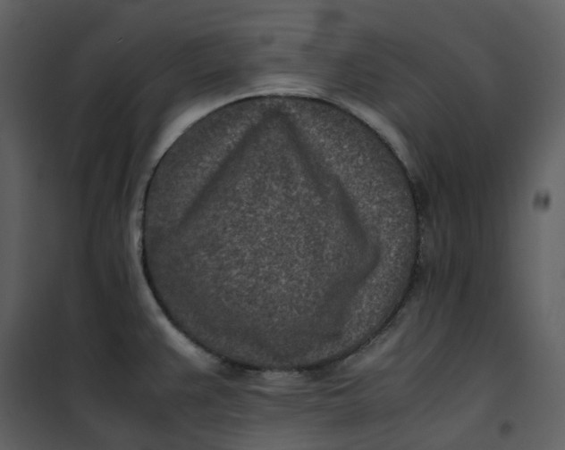 X0000101191383200807181501
