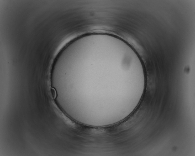 X0000101191384200807181501