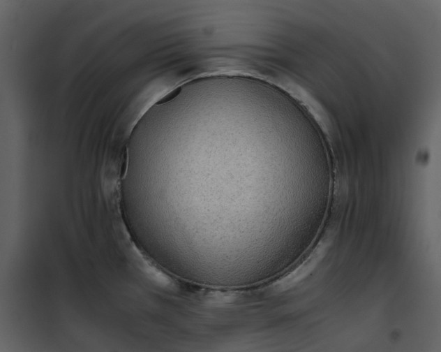 X0000101191385200807181501