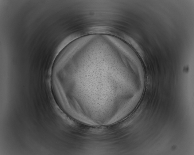 X0000101191386200807181501
