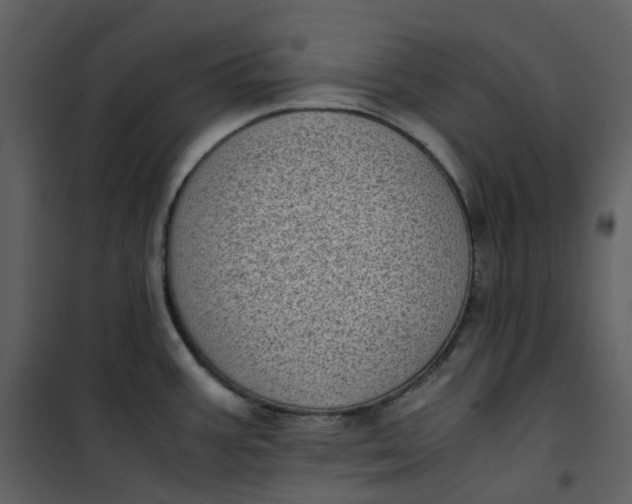 X0000101191387200807181501
