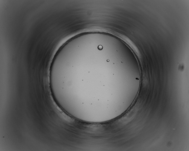 X0000101191388200807181501