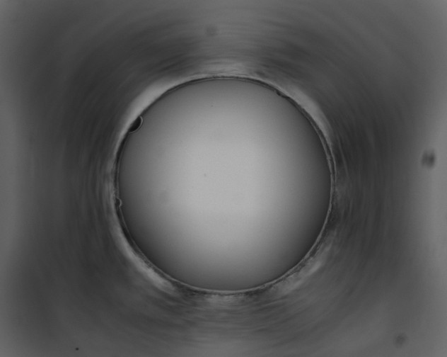 X0000101191389200807181501