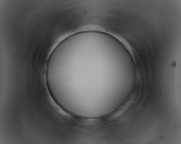 X0000101191390200807181501