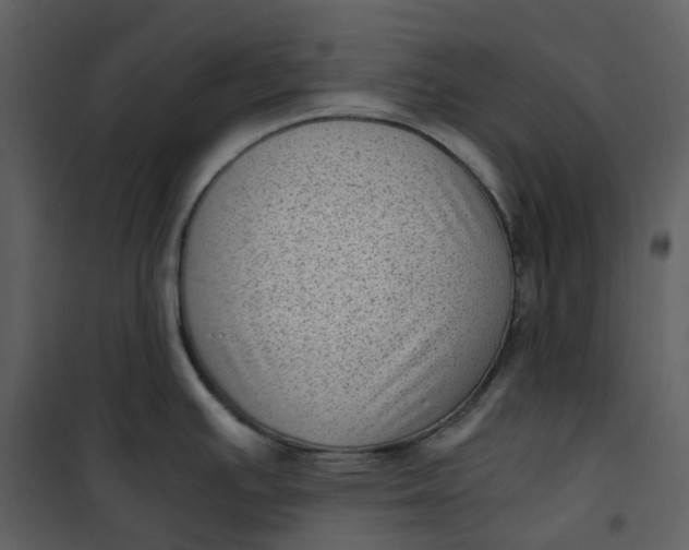 X0000101191391200807181501