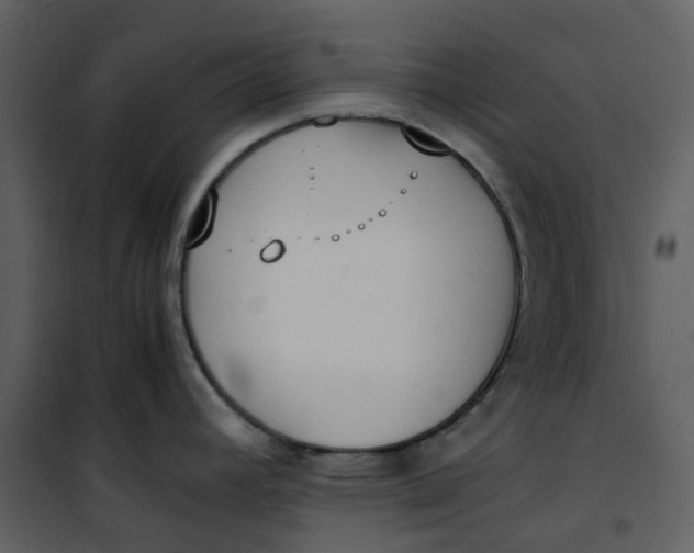 X0000101191392200807181501