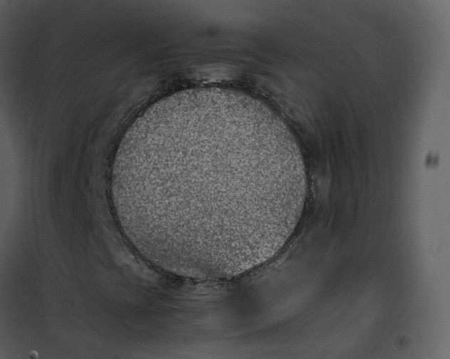 X0000101191393200807181500