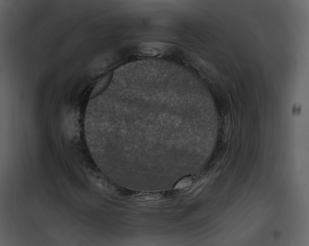 X0000101191394200807181500