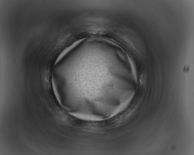 X0000101191396200807181500