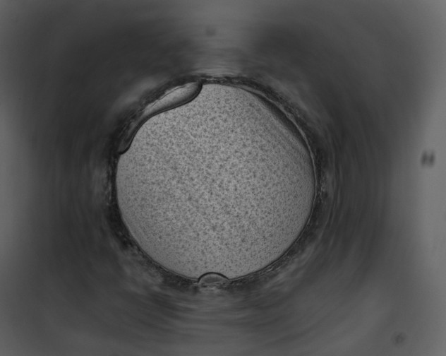 X0000101191398200807181500