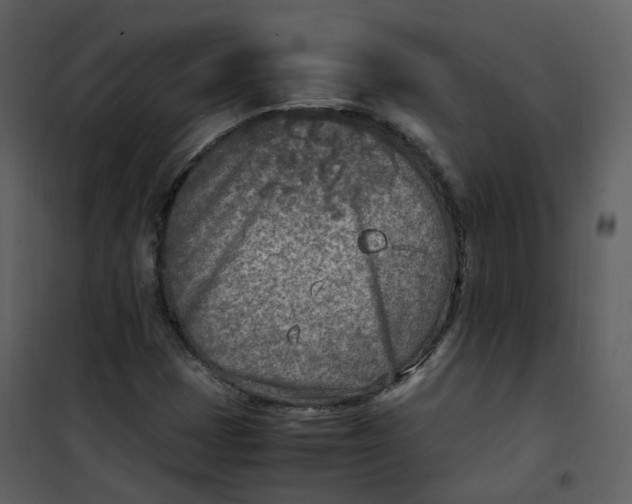 X0000101191401200807181500