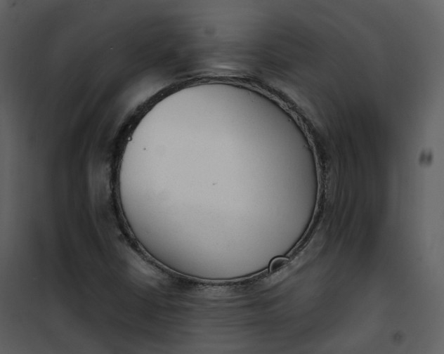 X0000101191402200807181500