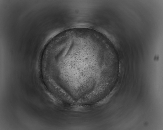 X0000101191405200807181500