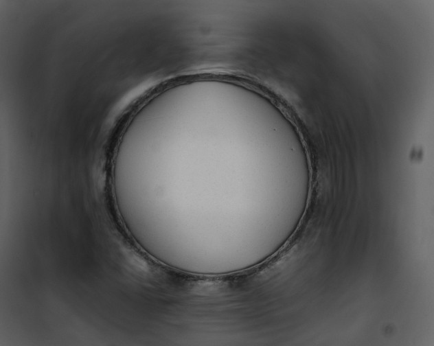 X0000101191406200807181500