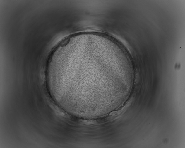 X0000101191407200807181500