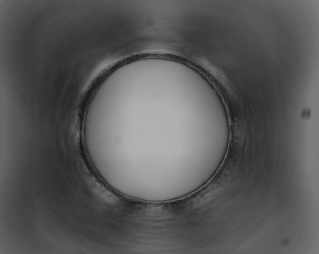 X0000101191408200807181500