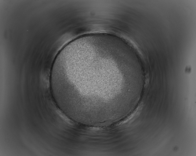X0000101191409200807181500