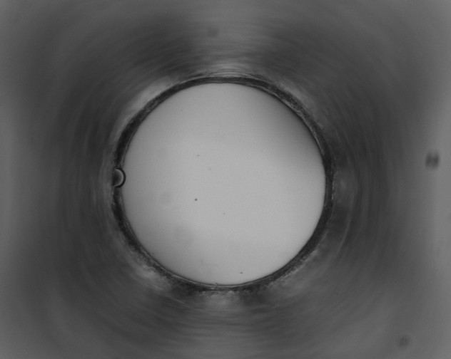 X0000101191410200807181500