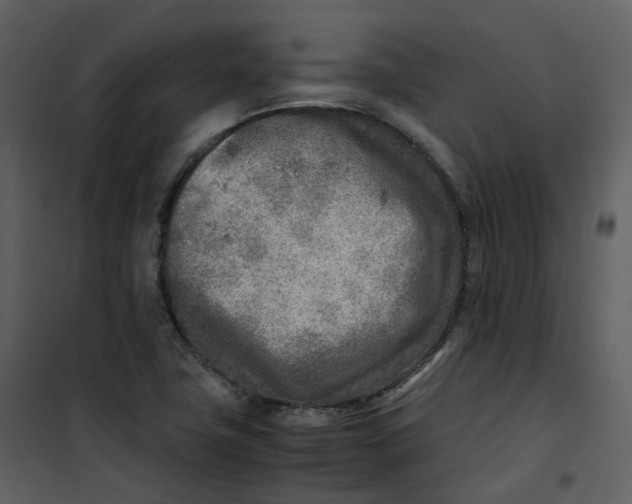 X0000101191411200807181500