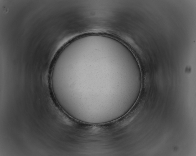 X0000101191412200807181500