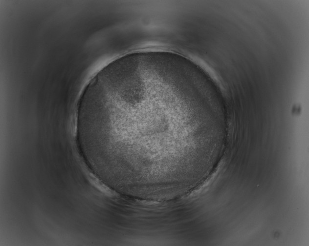 X0000101191413200807181500