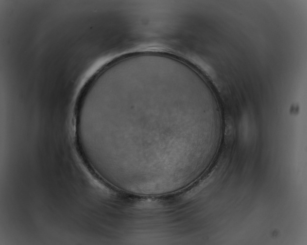 X0000101191414200807181500