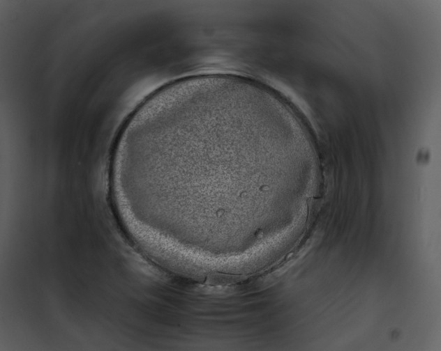 X0000101191415200807181500