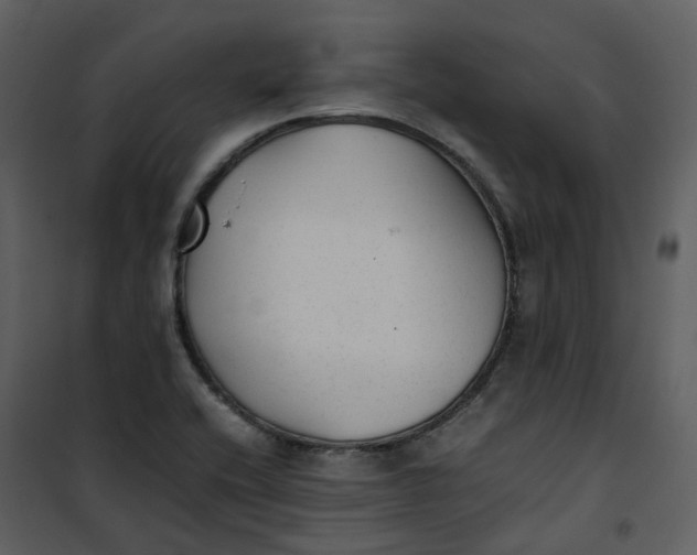 X0000101191416200807181500