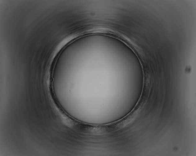 X0000101191418200807181500