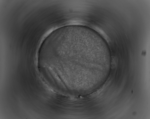 X0000101191419200807181500