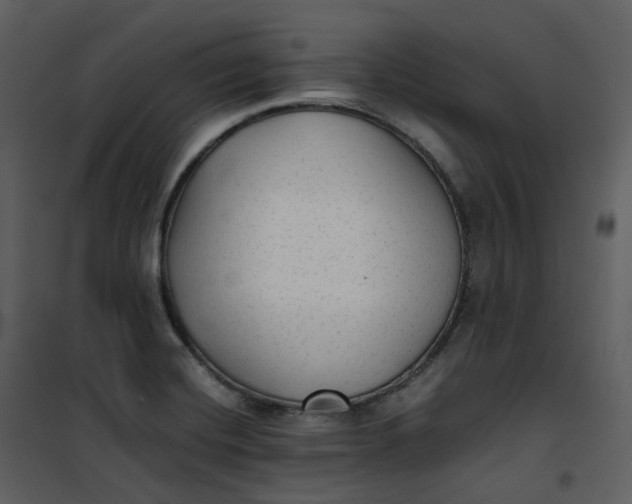 X0000101191420200807181500