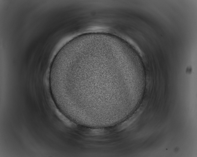 X0000101191421200807181500