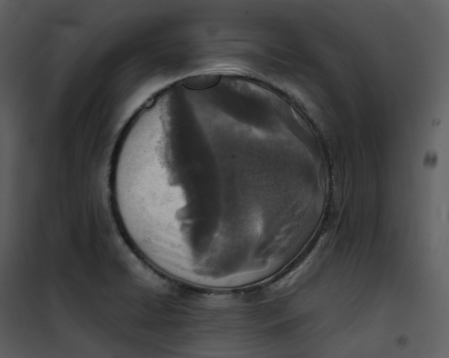 X0000101191422200807181500