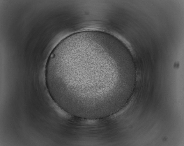 X0000101191423200807181500
