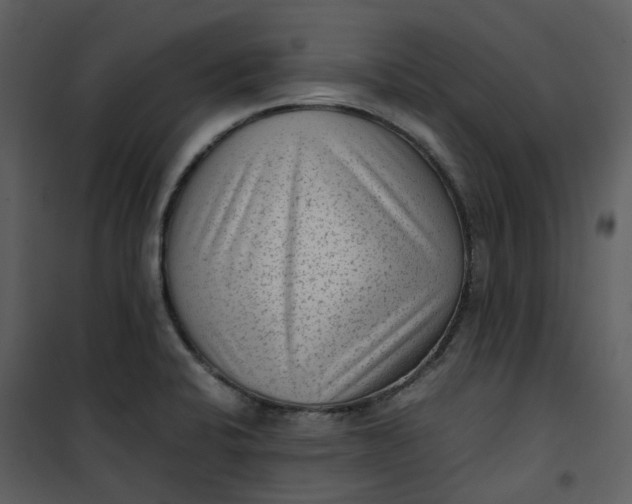 X0000101191424200807181500