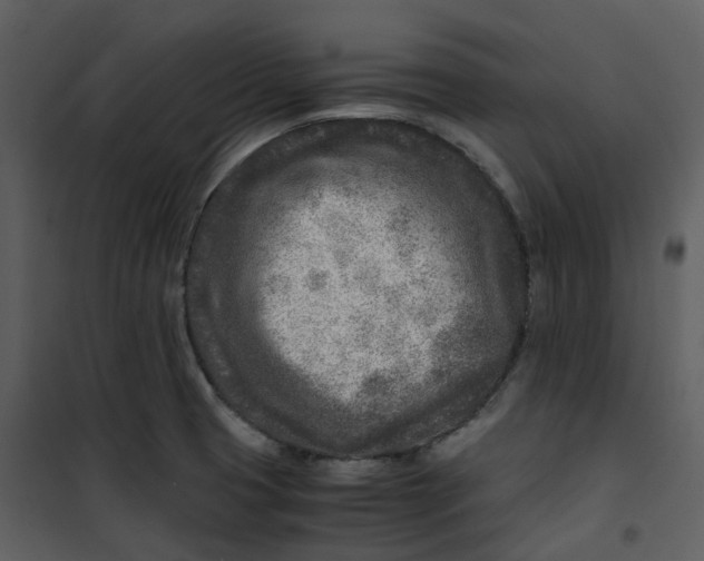X0000101191425200807181500