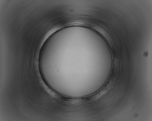 X0000101191426200807181500
