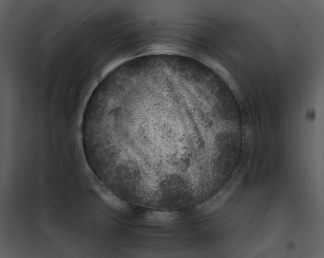 X0000101191427200807181500